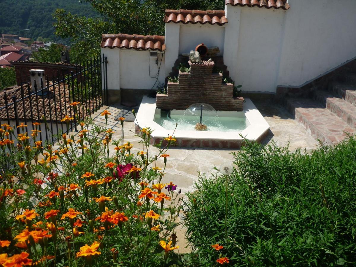 Guest House Harmony Veliko Tărnovo Exteriör bild